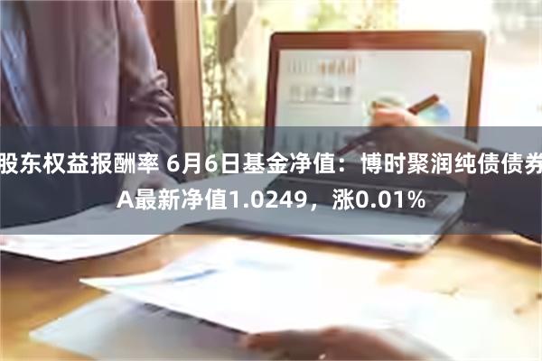 股东权益报酬率 6月6日基金净值：博时聚润纯债债券A最新净值1.0249，涨0.01%