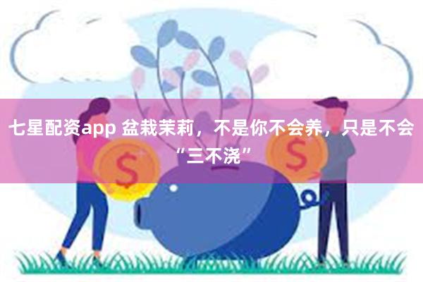 七星配资app 盆栽茉莉，不是你不会养，只是不会“三不浇”