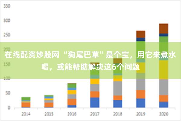 在线配资炒股网 “狗尾巴草”是个宝，用它来煮水喝，或能帮助解决这6个问题