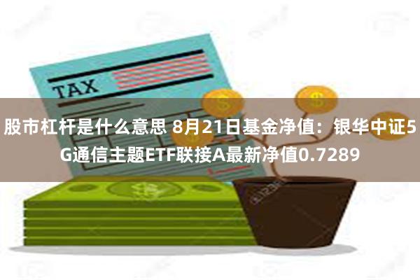 股市杠杆是什么意思 8月21日基金净值：银华中证5G通信主题ETF联接A最新净值0.7289