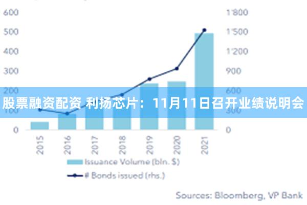 股票融资配资 利扬芯片：11月11日召开业绩说明会