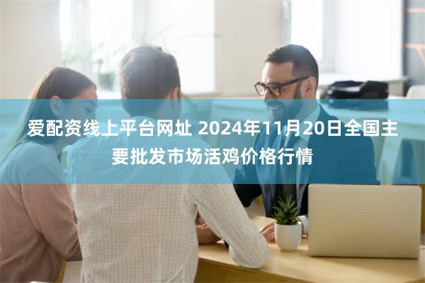 爱配资线上平台网址 2024年11月20日全国主要批发市场活鸡价格行情