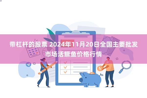 带杠杆的股票 2024年11月20日全国主要批发市场活鳜鱼价格行情