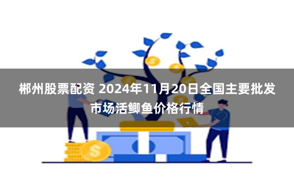 郴州股票配资 2024年11月20日全国主要批发市场活鲫鱼价格行情