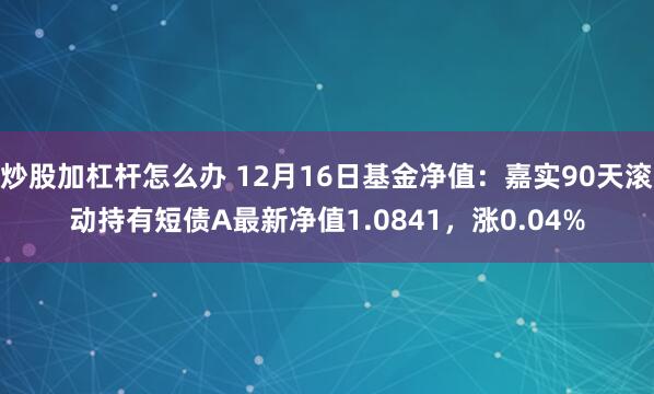 炒股加杠杆怎么办 12月16日基金净值：嘉实90天滚动持有短债A最新净值1.0841，涨0.04%