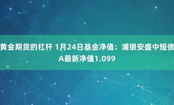 黄金期货的杠杆 1月24日基金净值：浦银安盛中短债A最新净值1.099