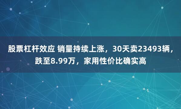 股票杠杆效应 销量持续上涨，30天卖23493辆，跌至8.99万，家用性价比确实高